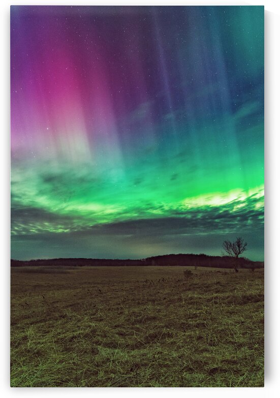 Northern Lights by Wildridge Photography