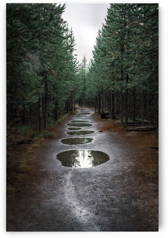 Take The Trail by Wildridge Photography