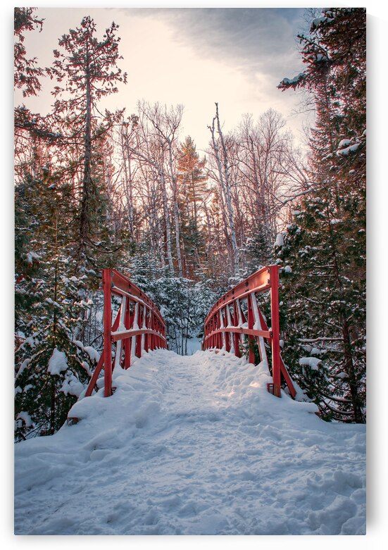 Winter Wonderland by Wildridge Photography