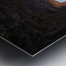 Mount Rushmore Tunnel Metal print