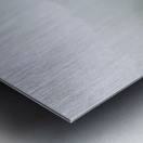 King Fisher Metal print