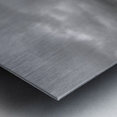 View Finder Metal print