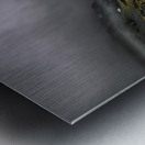 Harding Icefield Trail Metal print