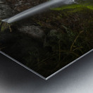 Marymere Falls Metal print