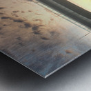 American Eagle Metal print