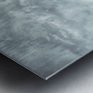 Wildflower Metal print