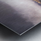 Alaskan Wilderness Metal print