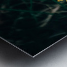 Feeling Dandy Metal print