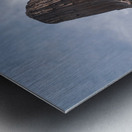 Devils Tower Metal print