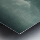 Lost World Metal print