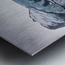 Mirrored Perfection Metal print