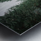 Take The Trail Metal print