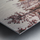 Winter Wonderland Metal print