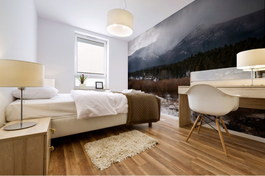 Mount Meeker Mural print