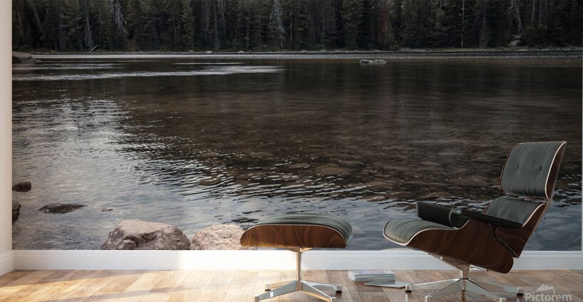 Magical Montana Wall Murals