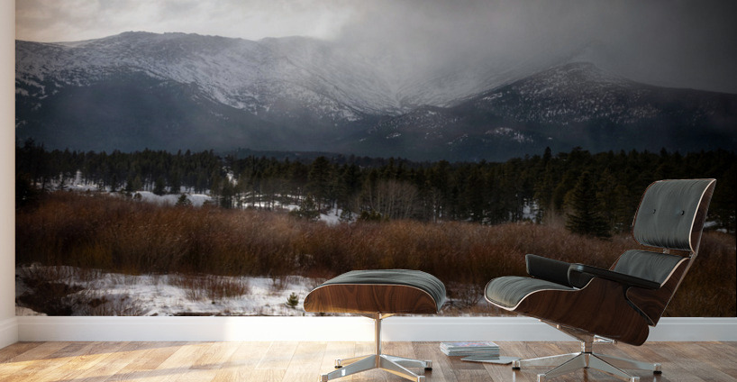 Mount Meeker Wall Murals