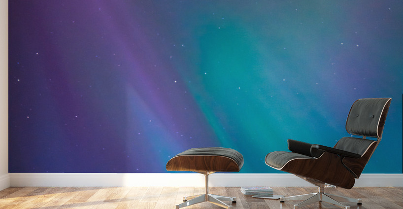 Lady Aurora Wall Murals