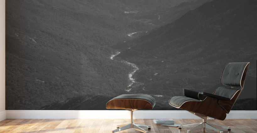 The Valley Wall Murals
