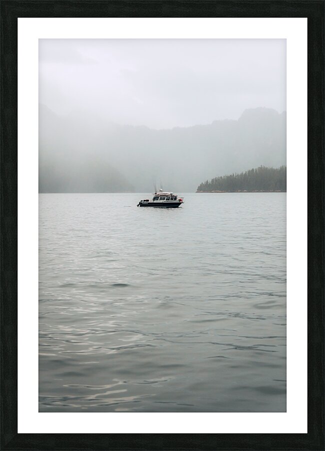 King Fisher Picture Frame print