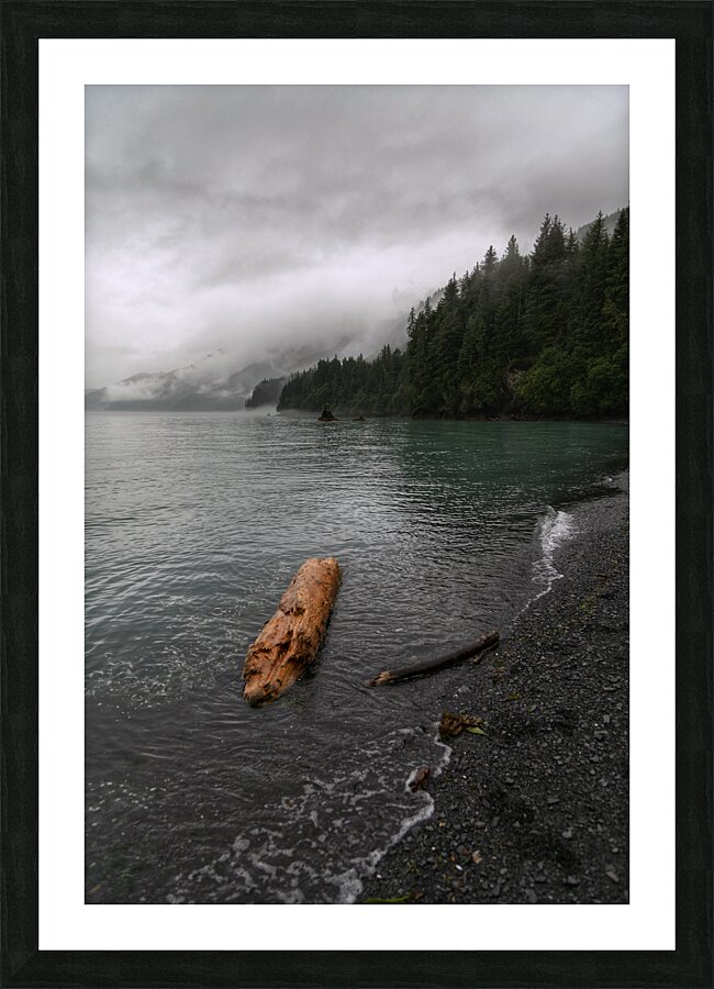 Seward Picture Frame print