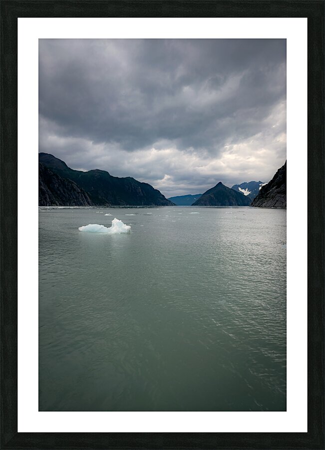 Gulf of Alaska Picture Frame print