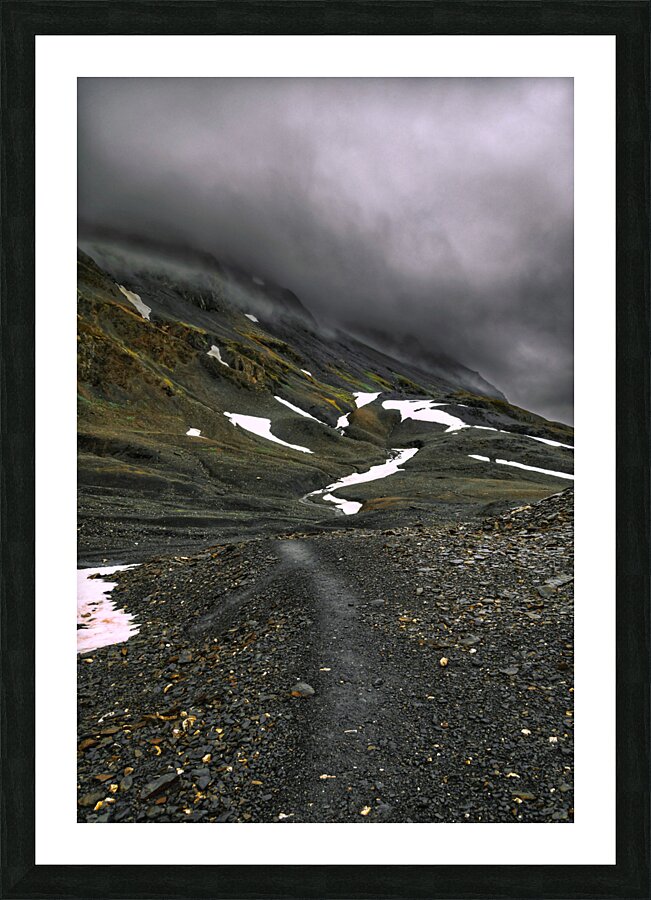 Harding Icefield Trail Picture Frame print