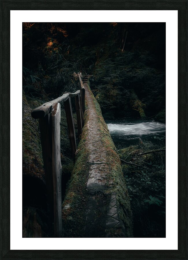 PNW Wonderland Picture Frame print