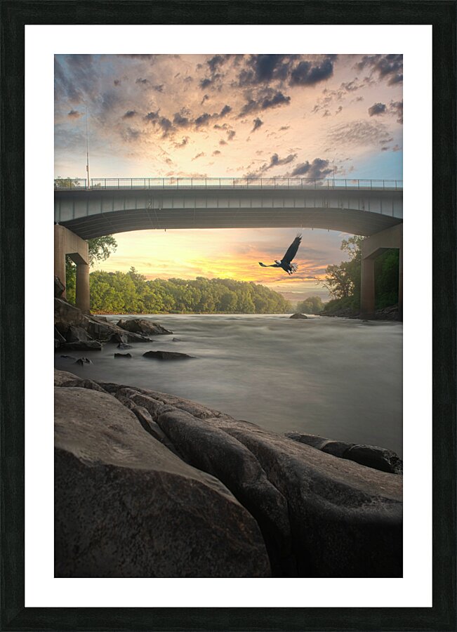 American Eagle Picture Frame print