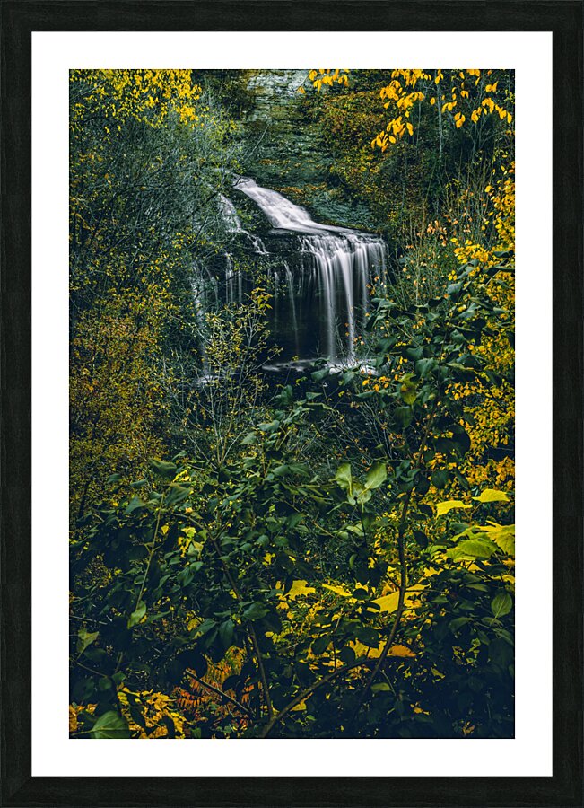 Cascade Falls Picture Frame print