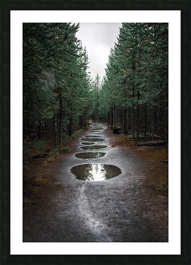 Take The Trail Picture Frame print