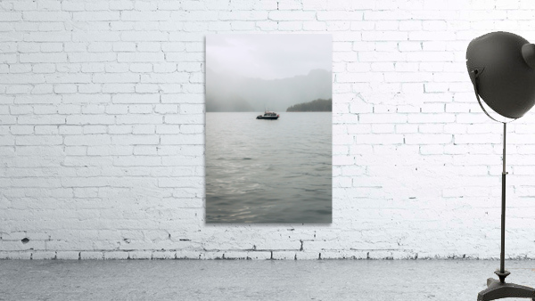 King Fisher Wall Preview