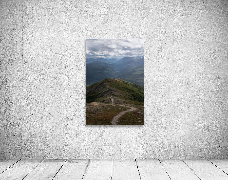 Mount Healy Wall Preview