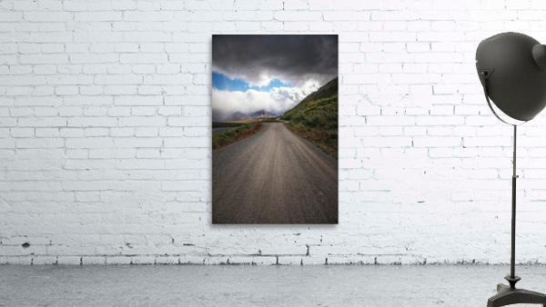 Denali Park Road Wall Preview