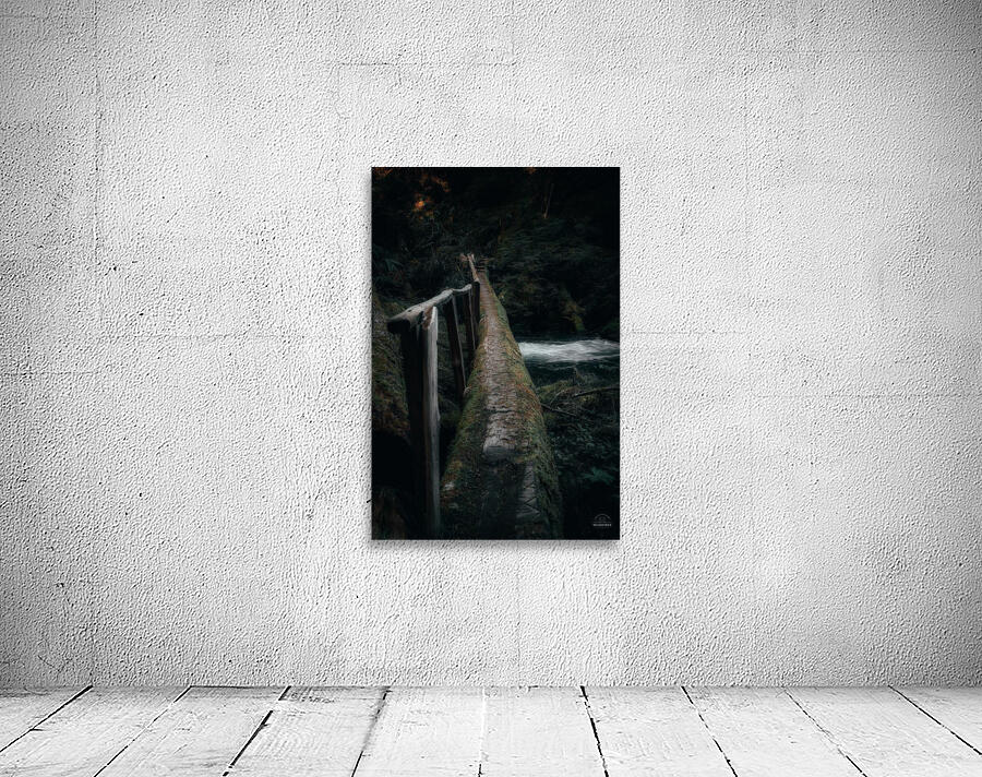 PNW Wonderland Wall Preview