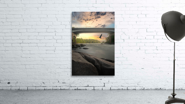 American Eagle Wall Preview