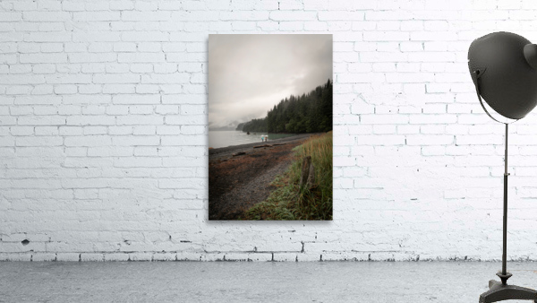 Alaskan Mist by Wildridge Photography