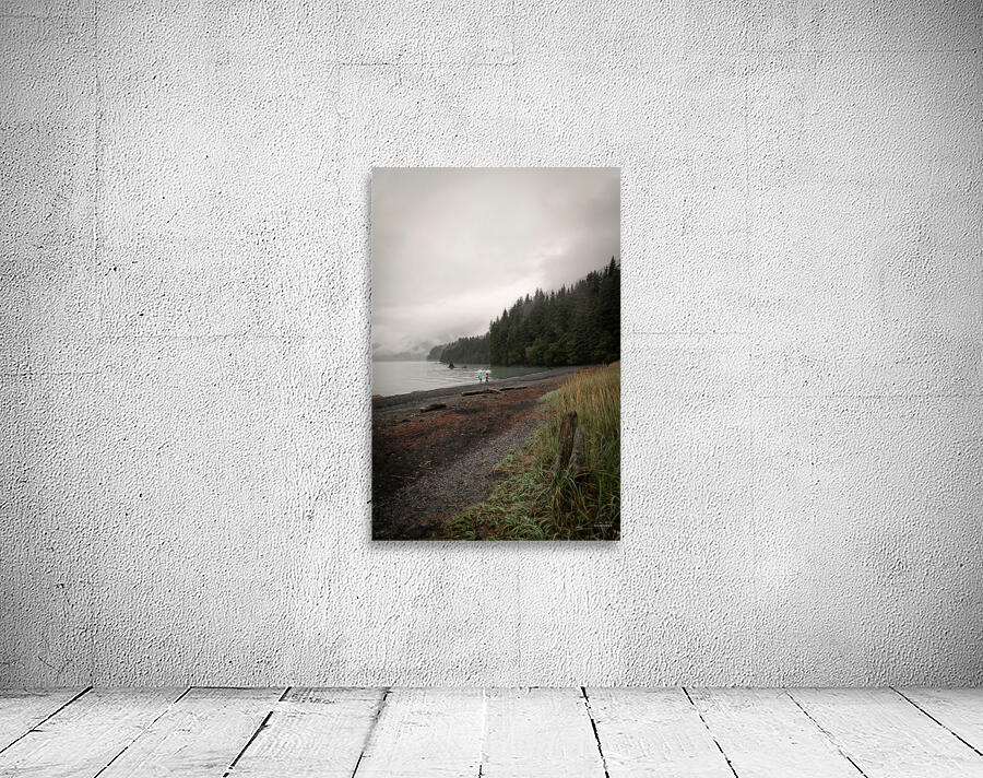 Alaskan Mist Wall Preview