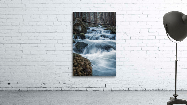 Olympic Wall Preview