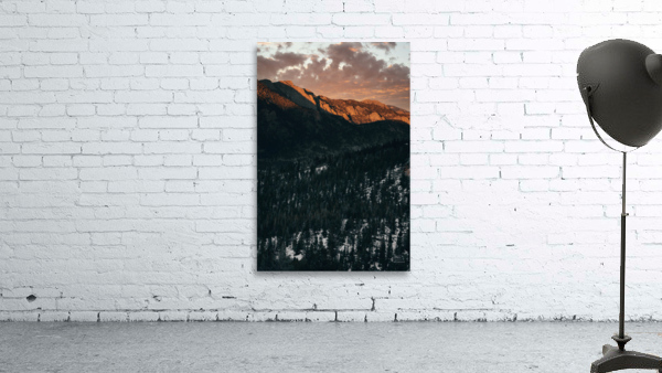 Feeling Golden Wall Preview