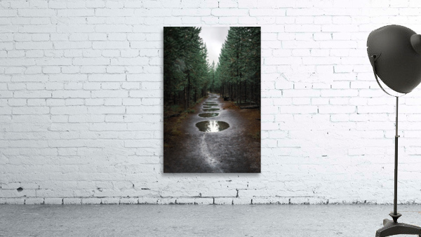 Take The Trail Wall Preview