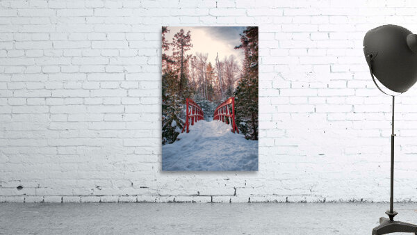 Winter Wonderland by Wildridge Photography