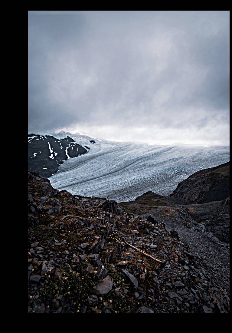 Harding Icefield Reproduction
