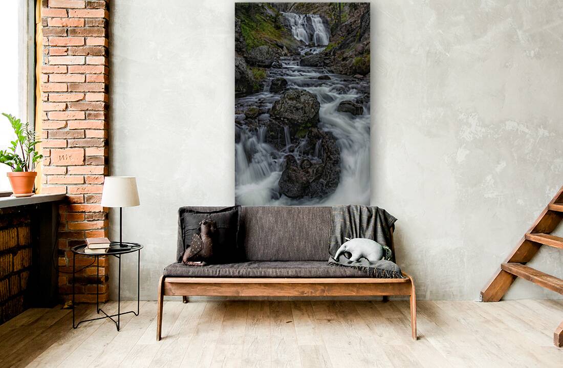 Mystic Falls Reproduction