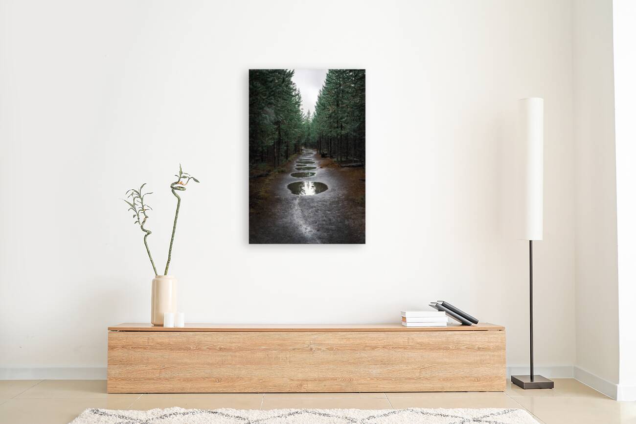 Take The Trail Reproduction