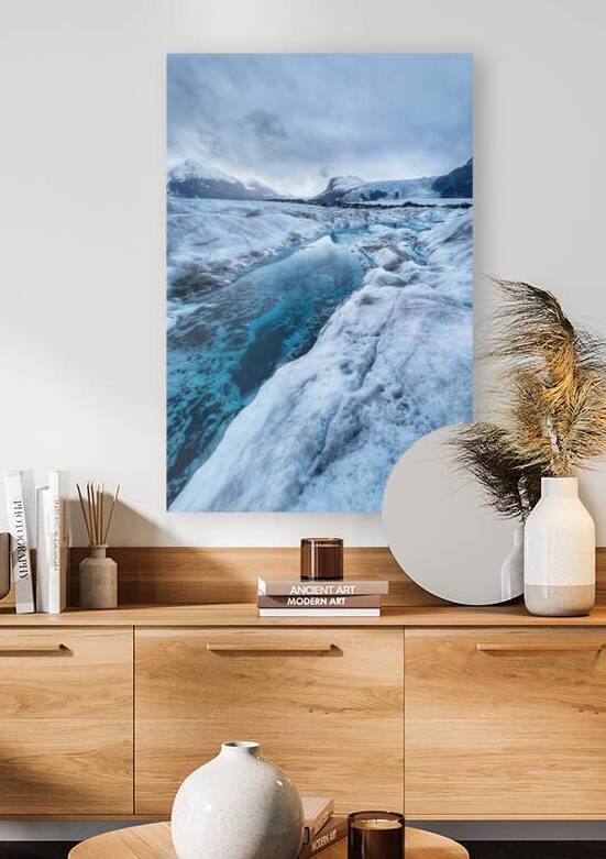 Palmer by Wildridge Photography