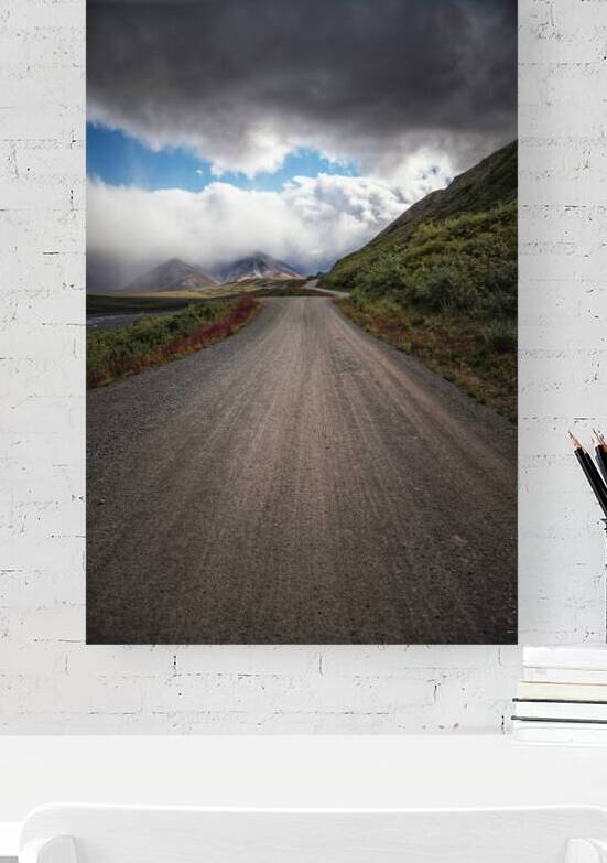 Denali Park Road by Wildridge Photography