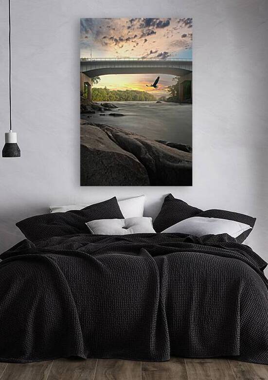 American Eagle by Wildridge Photography