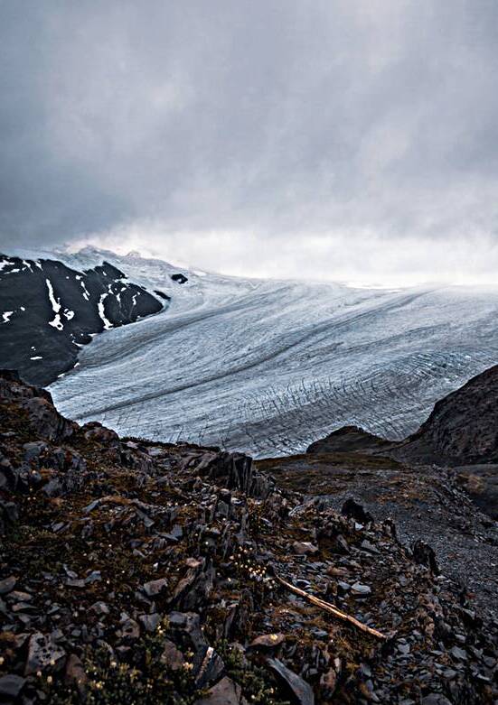 Harding Icefield by Wildridge Photography