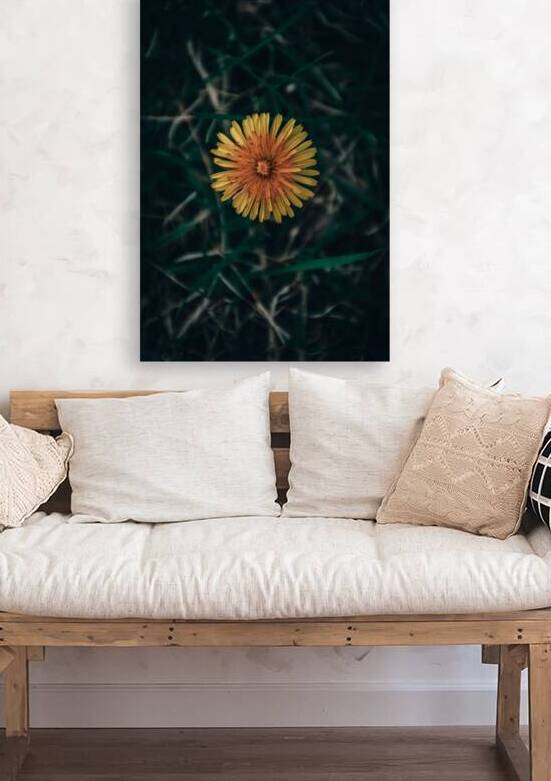 Feeling Dandy by Wildridge Photography