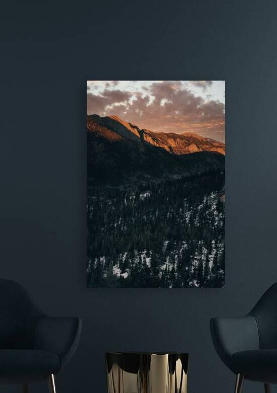 Feeling Golden by Wildridge Photography